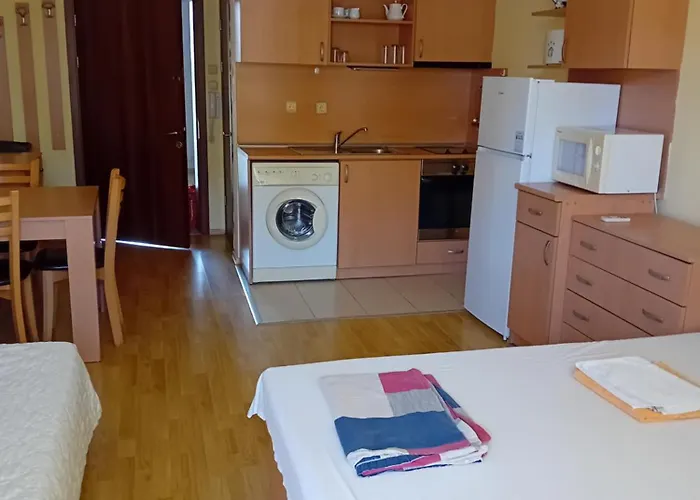 Apartamento студио във виго панорама *